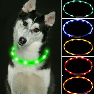 Reedog Easy Light világító nyakörv kutyáknak- univerzális méret - zöld