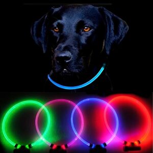 Reedog Full Light világító nyakörv kutyáknak - piros - L
