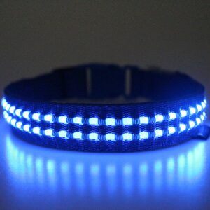 Reedog luminous USB svíticí obojek pro malé, střední a velké psy - kék - L