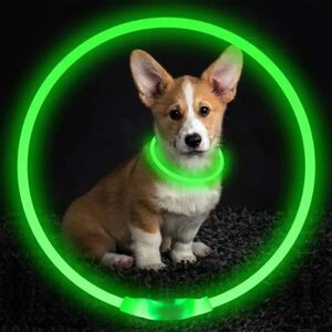 Reedog LED USB dobíjecí svítící obojek pro psy a kočky