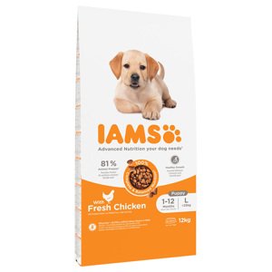 12kg IAMS Advanced Nutrition Puppy Large csirke száraz kutyatáp