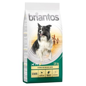 14kg Briantos Senior szárnyas & rizs száraz kutyatáp