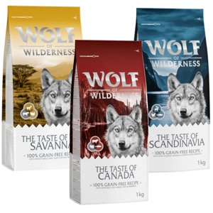 Wolf of Wilderness - vegyes próbacsomag "The Taste Of" Canada, Scandinavia, Mediterranean (burgonyamentes; 3 x 1 kg)