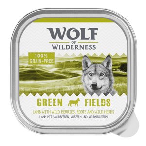 6x300g Wolf of Wilderness Adult nedves kutyatáp-Green Fields - bárány
