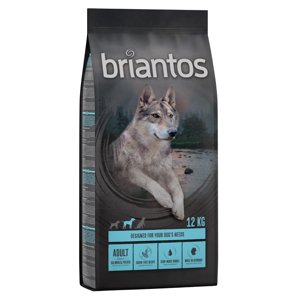 12kg Briantos Adult lazac & burgonya gabonamentes száraz kutyatáp 11+ 1 ingyen akcióban