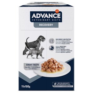 11x100g Advance Veterinary Diets Recovery nedveseledel kutyáknak, macskáknak