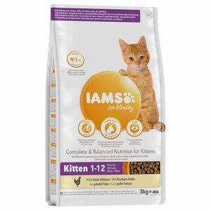 3kg IAMS for Vitality Kitten csirke száraz macskatáp 10% kedvezménnyel