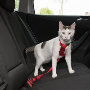 Trixie autós hám macskáknak, piros