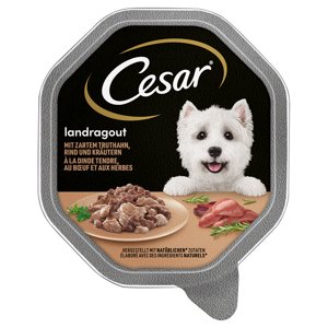 14x150g Cesar tálcás megapack nedves kutyatáp-Vidéki ragu: pulyka, marha & fűszernövények