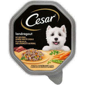 14x150g Cesar tálcás megapack nedves kutyatáp - szárnyas & zöldség szószban