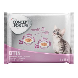 4x85g Concept for Life nedves macskatáp próbacsomagban-Kitten