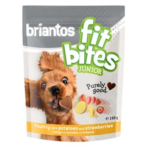 150g Briantos "FitBites" Junior - szárnyas, burgonya & földieper kutyasnack